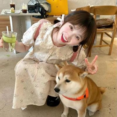 遗忘尼克